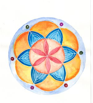 seed peaceful high